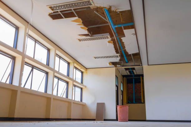  Holly, MI Water damage restoration Pros