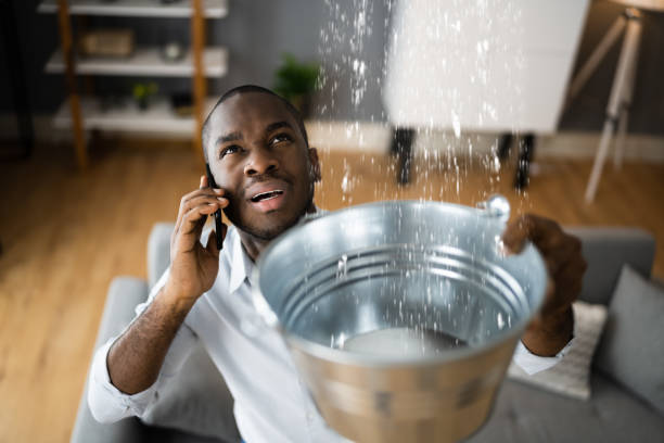 Best Basement water damage restoration  in Holly, MI