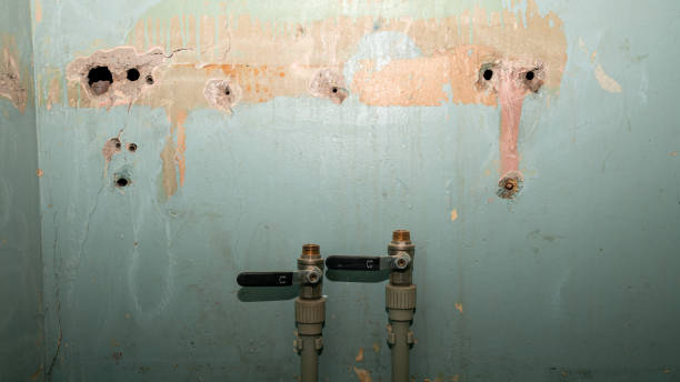 Best Sewage cleanup and water damage restoration  in Holly, MI